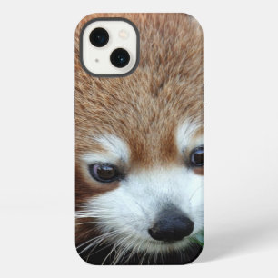 Red Panda, Taronga Zoo, Sydney, Australia iPhone 13 Case