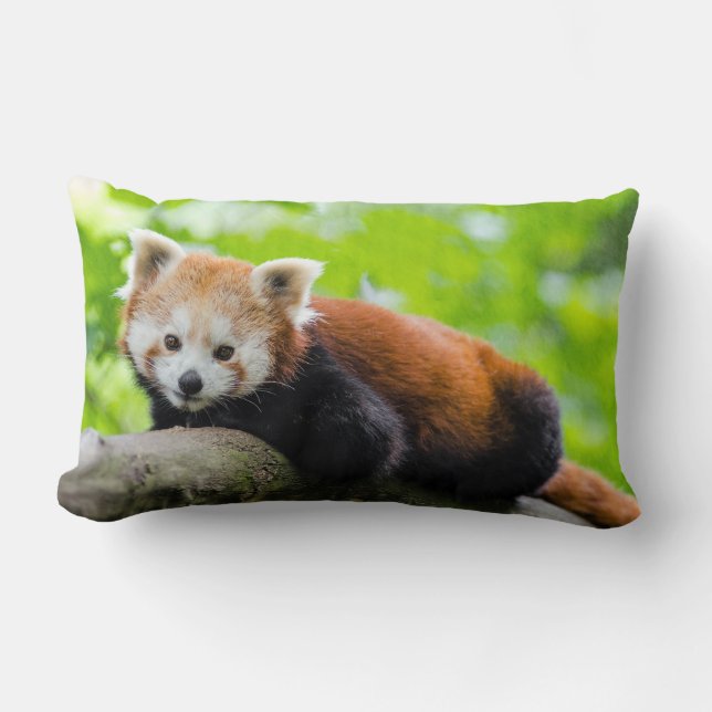 Red Panda Throw Pillow (Front)
