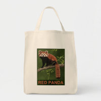 Red Panda
