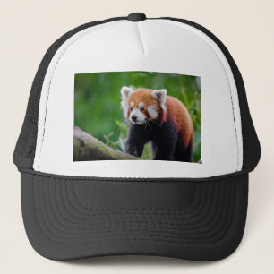 Red Panda Trucker Hat