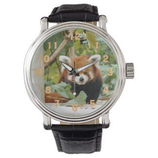 Red Panda Watch