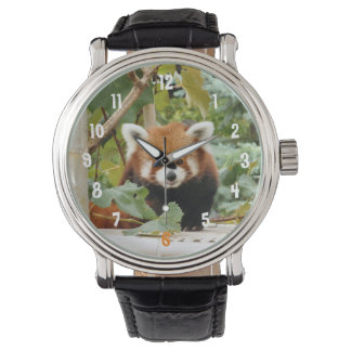 Red Panda Watch