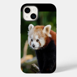 Red Panda Wild Animal iPhone 14 Case