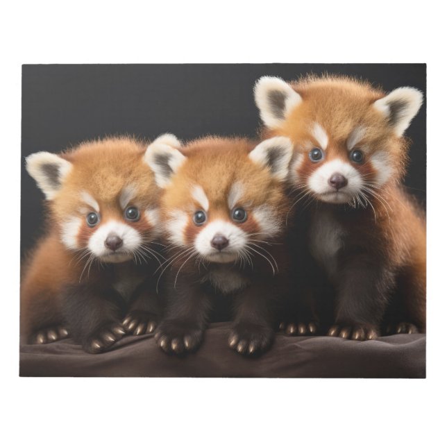Red Panda Wild Animal Portrait Nature Beauty Notepad (Front)