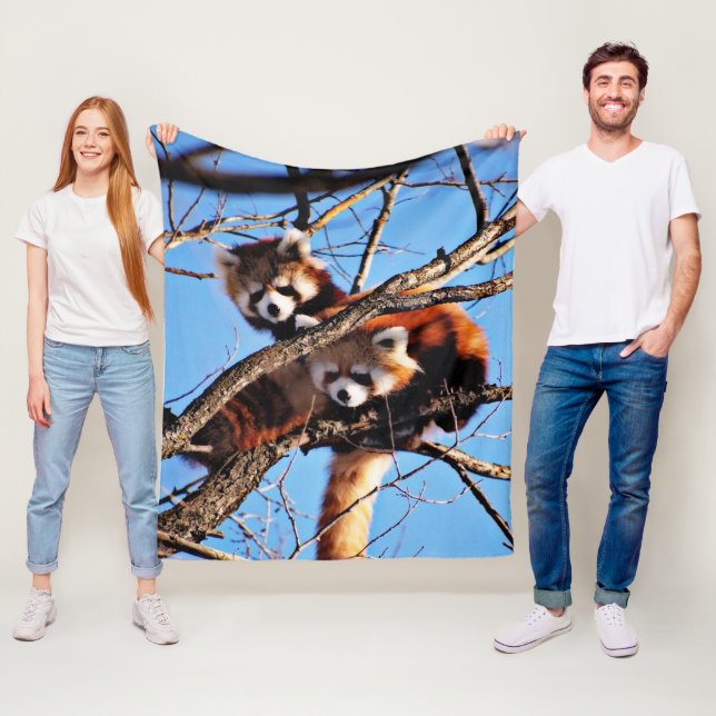 red pandas fleece blanket (In Situ)