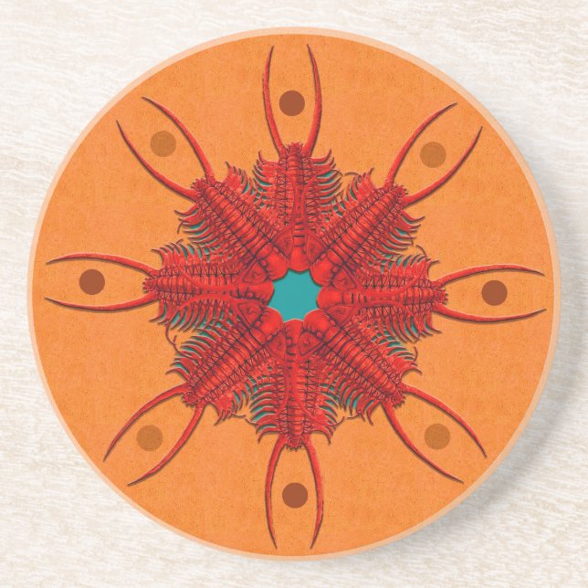 Red Paraceraurus fossil trilobite wheel Coaster (Front)