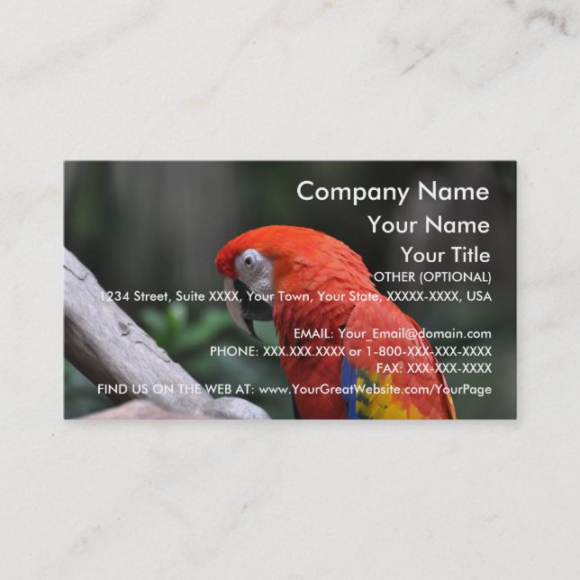 Red Parrot - business card template (Front)