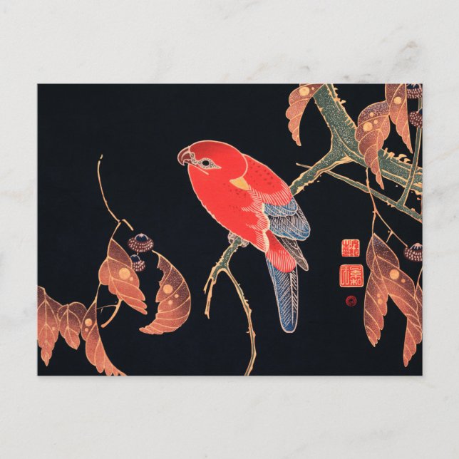 Red Parrot on the Branch of a Tree by Ito Jakuchu Postcard (Front)