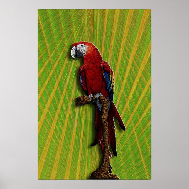 Red Parrot poster (Front)