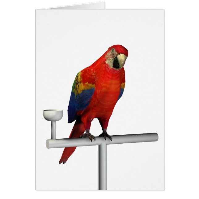 Red Parrot Scarlet Macaw (Front)