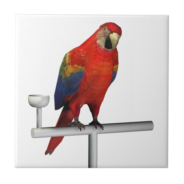 Red Parrot Scarlet Macaw Tile (Front)