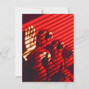 Red Parrots and a Hand Postcard