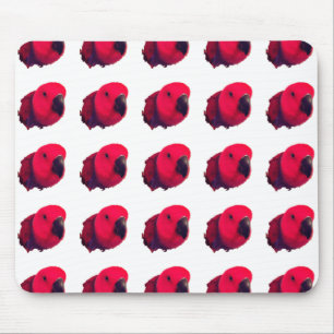 RED PARROTS MOUSEPAD