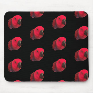 RED PARROTS MOUSEPAD Black