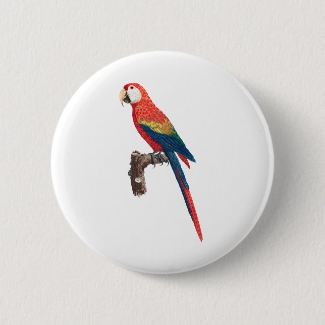 Red Parrots scarlet macaw bird 6 Cm Round Badge (Front)