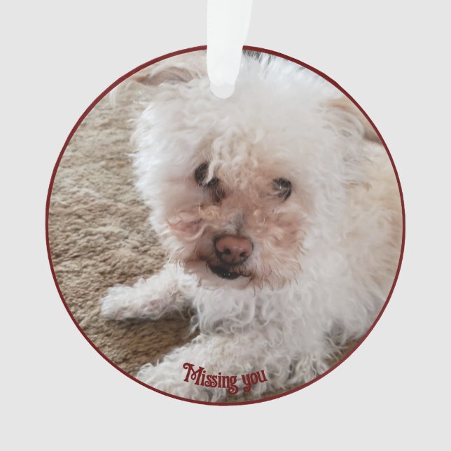 Red Pawprint Filled Heart Shape, Pet Quote, Name Ornament (Front)