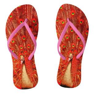 Red Peacock Displaying His Red Feathers, Jandals