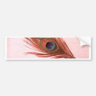 Red Peacock Feather Bumper Sticker