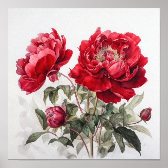 Red Peonies Flower Art Print Poster (Front)