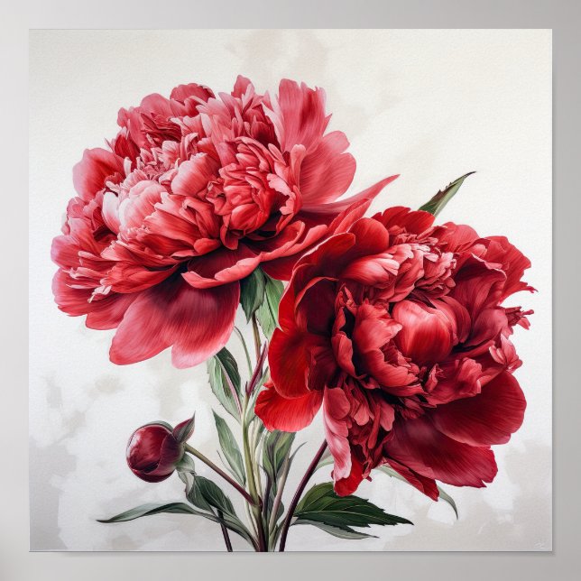 Red Peonies Flower Art Print Poster (Front)