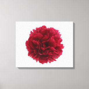 Red peony canvas print