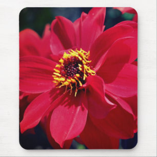 Red Peony Flower  Mouse Pad