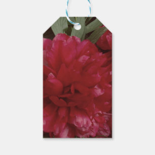 Red Peony Flower Photo Gift Tag