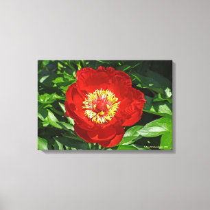 "RED PEONY"  PREMIUM WRAPPED CANVAS GLOSS PRINT