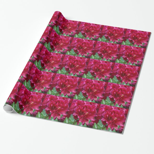 Red Peony Wrapping Paper (Unrolled)