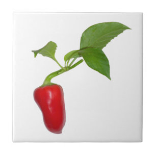 Red pepper tile