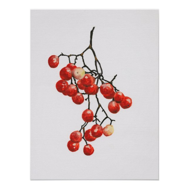 Red Peppercorns - Botanical Study 1 Poster (Front)