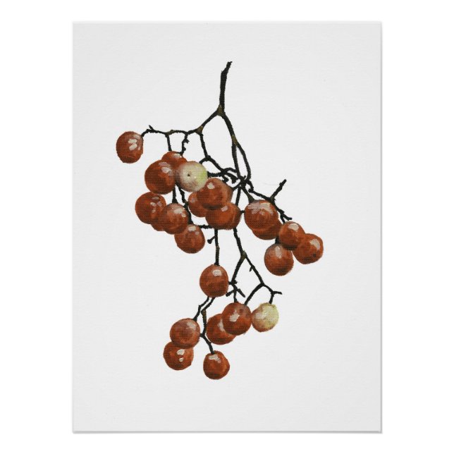 Red Peppercorns - Botanical Study 1 Poster (Front)