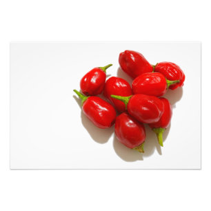 Red Peppers Photo Print