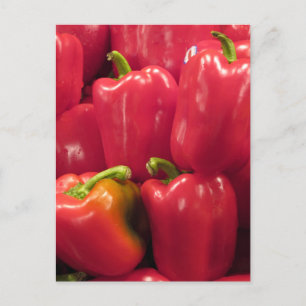 Red Peppers... Postcard