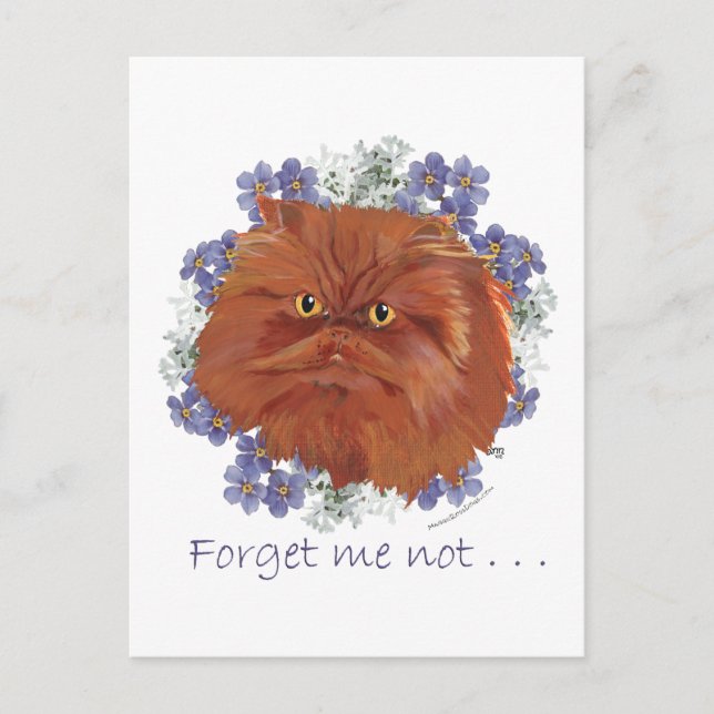 Red Persian Cat Forget Me Not Postcard (Front)