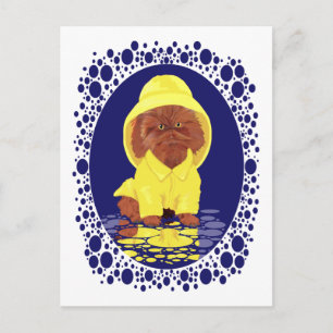 Red Persian Longhair Cat April Showers Postcard