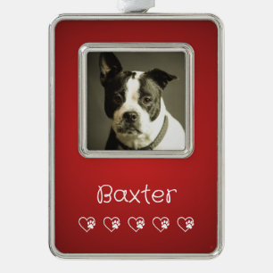 Red Pet Photo Ornament - Custom Photo