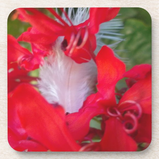 Red Petal Feather Art Print Coaster (Front)