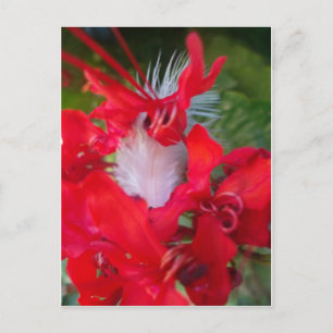 Red Petal Feather Art Print Postcard