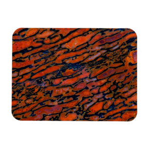 Red Petrified dinosaur bone Magnet