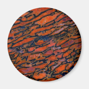 Red Petrified dinosaur bone Magnet