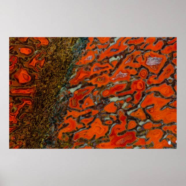 Red Petrified Dinosaur Bone Poster (Front)