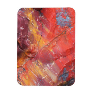 Red Petrified wood detail, Arizona Magnet