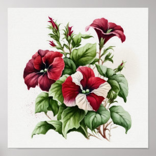 Red Petunias Flower Art Print Poster