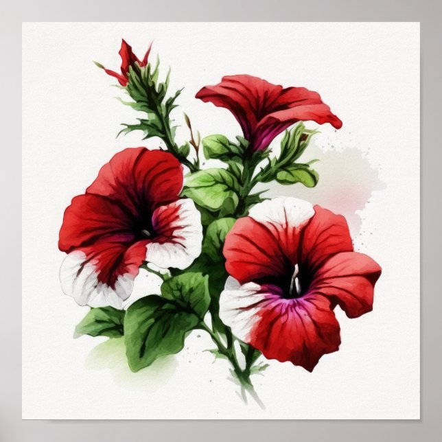 Red Petunias Flower Art Print Poster (Front)