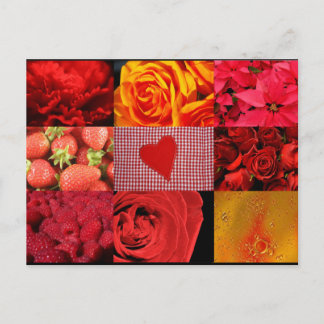 Red Photography Collage Postcard