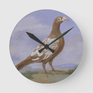 Red Pied Carrier Pigeon (oil on canvas) Round Clock