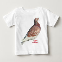 Red Pigeon (isolated)
