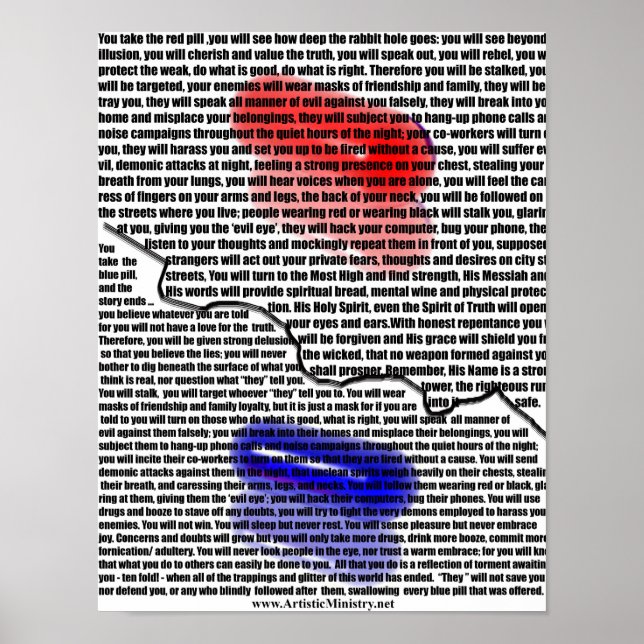 Red Pill/ Blue Pill Poster (Front)