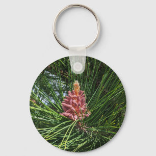 Red Pine Tree Pollen Cone (Pinus resinosa) Key Ring
